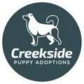 creeksidepuppyadoptions.com